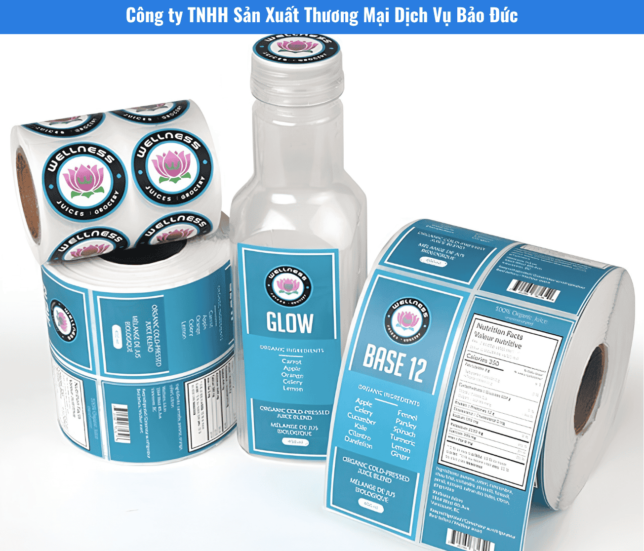 Các Loại Chất Liệu In Decal Cuộn Tại TP.HCM: Giấy, PP, PVC, PET, Xi Bạc Nên Chọn Loại Nào?